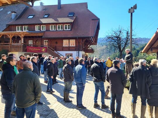 Weihnachtsbaumproduzenten aus Baden-Württemberg