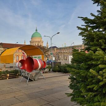 Weihnachtsbaumverkäufer sorgen für sicheren Einkauf