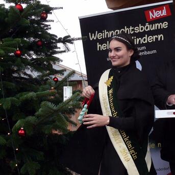 Deutsche Weihnachtsbaumsaison eröffnet