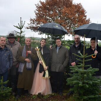 Baden-Württembergische Weihnachtsbaumsaison eröffnet