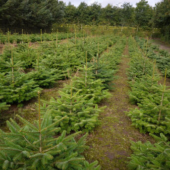 Einladung zum Feldtag am 17.10.2020 