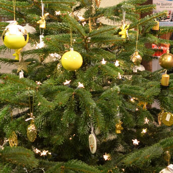Alles Wichtige zum Weihnachtsbaum