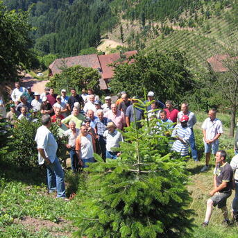 9. Jahreshauptversammlung wird auf den Sommer verschoben