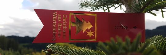 Christbaum aus Baden-Württemberg